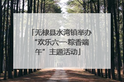 无棣县水湾镇举办“欢乐六一·粽香端午”主题活动