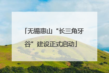 无锡惠山“长三角牙谷”建设正式启动