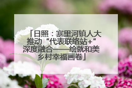 日照：寨里河镇人大推动“代表联络站+”深度融合——绘就和美乡村幸福画卷