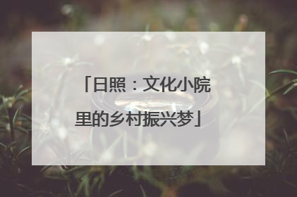 日照：文化小院里的乡村振兴梦
