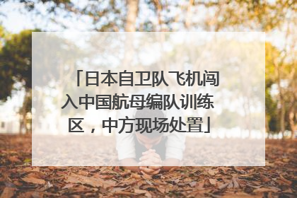 日本自卫队飞机闯入中国航母编队训练区，中方现场处置