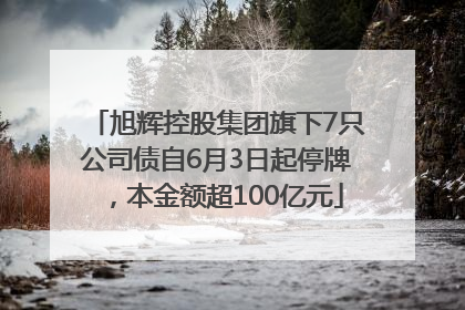 旭辉控股集团旗下7只公司债自6月3日起停牌，本金额超100亿元