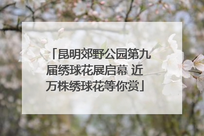 昆明郊野公园第九届绣球花展启幕 近万株绣球花等你赏
