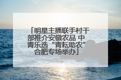 明星主播联手村干部推介安徽农品 中青乐选“青耘助农”合肥专场举办