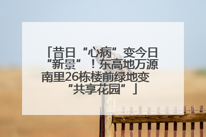 昔日“心病”变今日“新景”！东高地万源南里26栋楼前绿地变“共享花园”