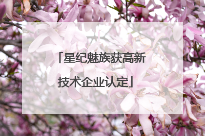 星纪魅族获高新技术企业认定