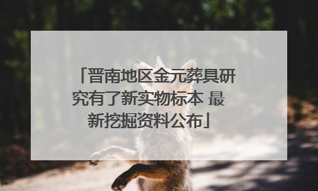 晋南地区金元葬具研究有了新实物标本 最新挖掘资料公布