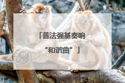 普法强基奏响“和谐曲”