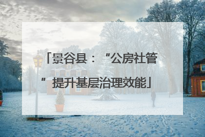 景谷县：“公房社管”提升基层治理效能