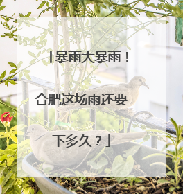 暴雨大暴雨！合肥这场雨还要下多久？