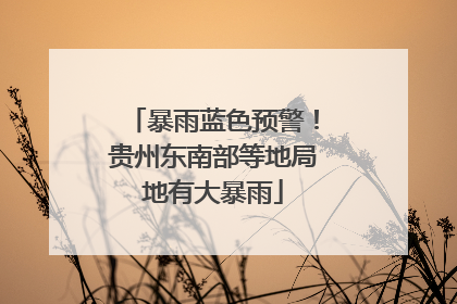 暴雨蓝色预警！贵州东南部等地局地有大暴雨