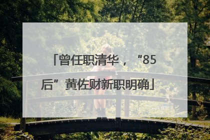 曾任职清华，“85后”黄佐财新职明确