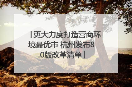 更大力度打造营商环境最优市 杭州发布8.0版改革清单