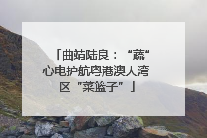 曲靖陆良：“蔬”心电护航粤港澳大湾区“菜篮子”