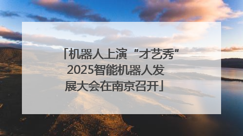 机器人上演“才艺秀” 2025智能机器人发展大会在南京召开