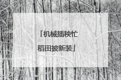 机械插秧忙 稻田披新装
