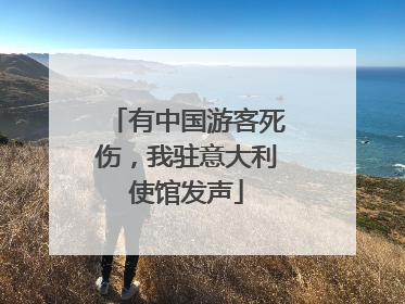 有中国游客死伤，我驻意大利使馆发声
