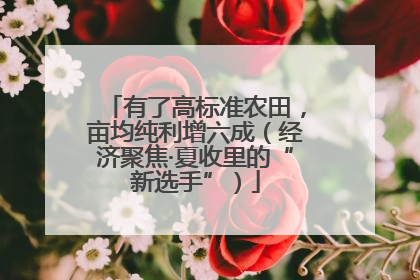 有了高标准农田，亩均纯利增六成（经济聚焦·夏收里的“新选手”）