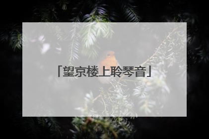 望京楼上聆琴音