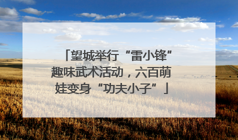 望城举行“雷小锋”趣味武术活动，六百萌娃变身“功夫小子”