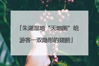 朱湖湿地“天地图”给游客一双隐形的翅膀