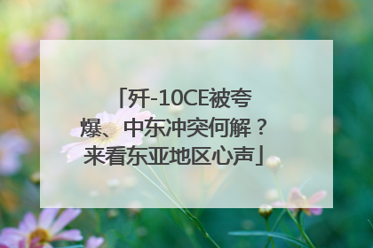 歼-10CE被夸爆、中东冲突何解？来看东亚地区心声