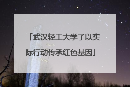 武汉轻工大学子以实际行动传承红色基因