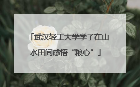 武汉轻工大学学子在山水田间感悟“粮心”