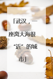 武汉，一座离大海很“近”的城市