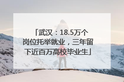 武汉：18.5万个岗位托举就业，三年留下近百万高校毕业生