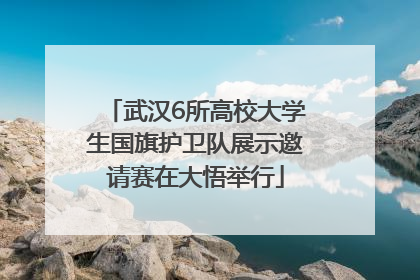 武汉6所高校大学生国旗护卫队展示邀请赛在大悟举行