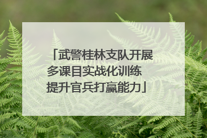 武警桂林支队开展多课目实战化训练 提升官兵打赢能力