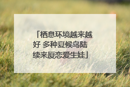 栖息环境越来越好 多种夏候鸟陆续来厦恋爱生娃