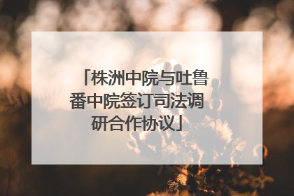 株洲中院与吐鲁番中院签订司法调研合作协议