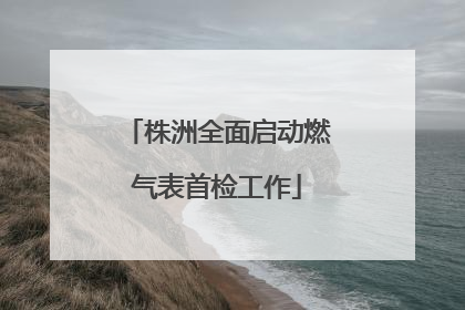 株洲全面启动燃气表首检工作