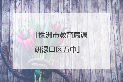 株洲市教育局调研渌口区五中