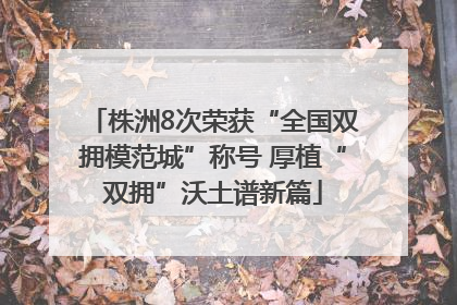 株洲8次荣获“全国双拥模范城”称号 厚植“双拥”沃土谱新篇