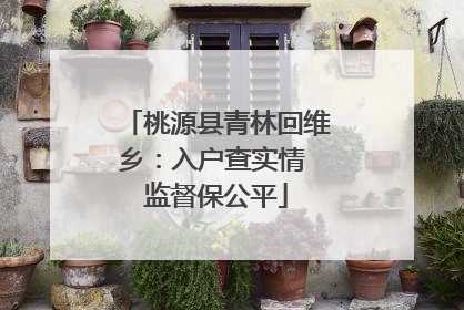 桃源县青林回维乡：入户查实情 监督保公平