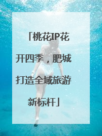 桃花IP花开四季，肥城打造全域旅游新标杆