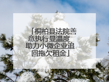 桐柏县法院善意执行显温度 助力小微企业追回拖欠租金
