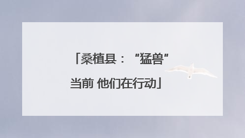 桑植县：“猛兽”当前 他们在行动