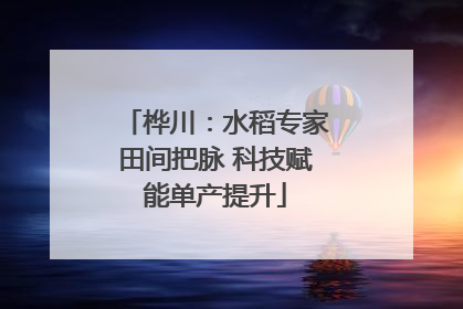 桦川：水稻专家田间把脉 科技赋能单产提升