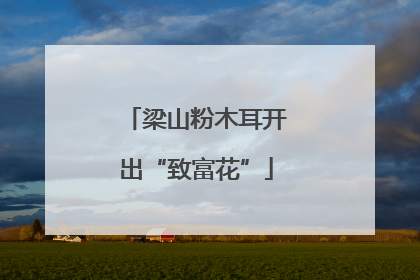梁山粉木耳开出“致富花”