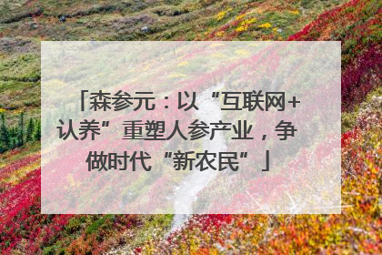 森参元：以“互联网+认养”重塑人参产业，争做时代“新农民”