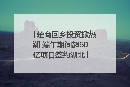 楚商回乡投资掀热潮 端午期间超60亿项目签约湖北