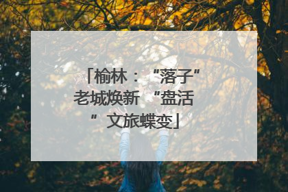 榆林：“落子”老城焕新 “盘活”文旅蝶变