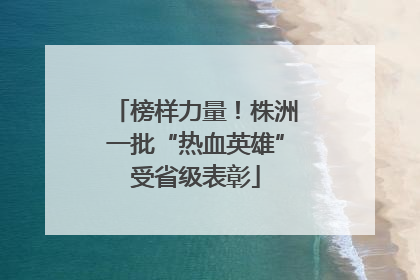 榜样力量！株洲一批“热血英雄”受省级表彰
