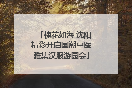 槐花如海 沈阳精彩开启国潮中医雅集汉服游园会