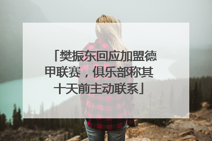 樊振东回应加盟德甲联赛，俱乐部称其十天前主动联系