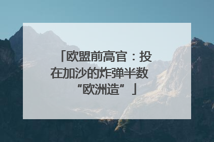 欧盟前高官：投在加沙的炸弹半数“欧洲造”